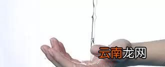 被毛毛虫蛰了怎么办？让毛毛虫叮咬后的应急处理