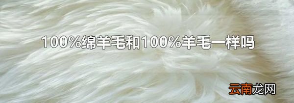 100%绵羊毛和100%羊毛一样吗
