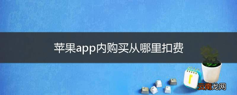 苹果app内购买从哪里扣费