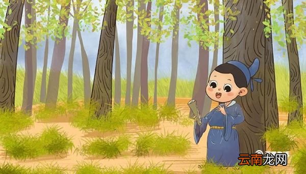 核舟记的说明顺序 核舟记的说明顺序是什么