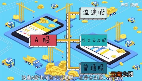 股票是什么什么是股票