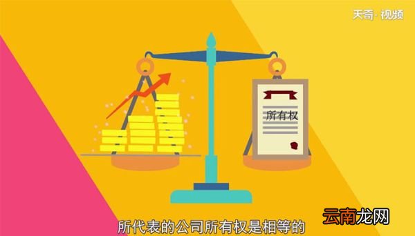 股票是什么什么是股票