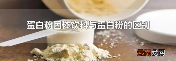 蛋白粉固体饮料与蛋白粉的区别