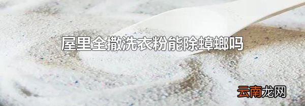 屋里全撒洗衣粉能除蟑螂吗