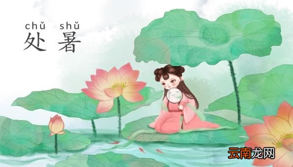 处暑植物有什么 处暑代表性植物有什么