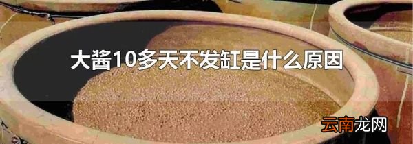 大酱10多天不发缸是什么原因