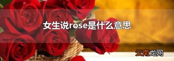 女生说rose是什么意思