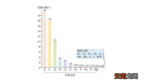 人体含量最多的金属元素 人体所含的最多的金属元素是什么