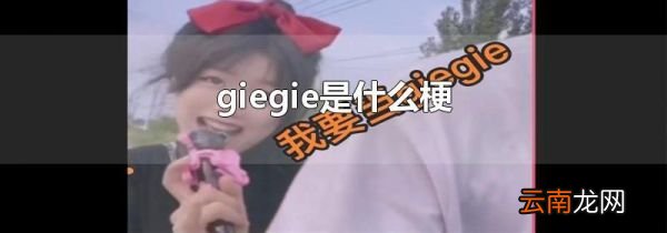giegie是什么梗