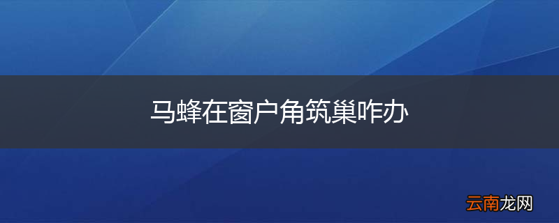 马蜂在窗户角筑巢咋办