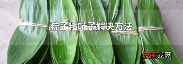 粽子粘叶子解决方法