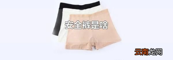 安全裤是啥