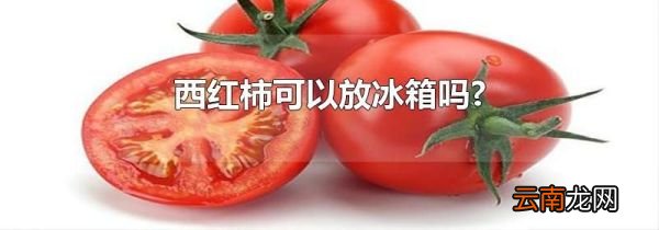 西红柿可以放冰箱吗?