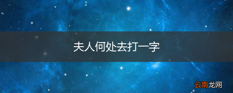 夫人何处去打一字