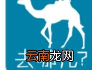 在去哪儿里取消抢票基础操作