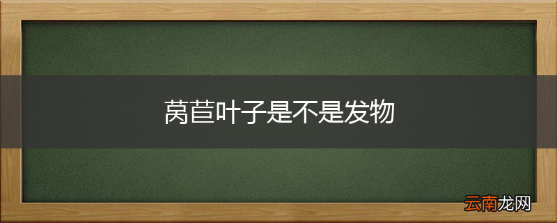 莴苣叶子是不是发物