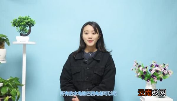 巴西龟吃什么 巴西龟怎么样吃什么
