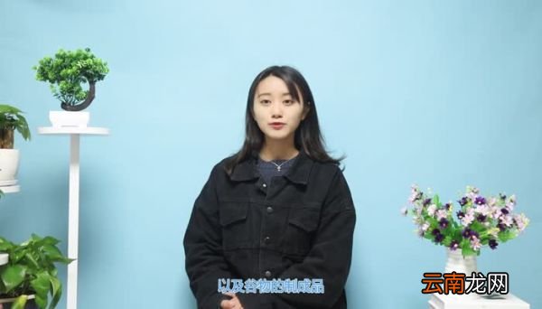 巴西龟吃什么 巴西龟怎么样吃什么