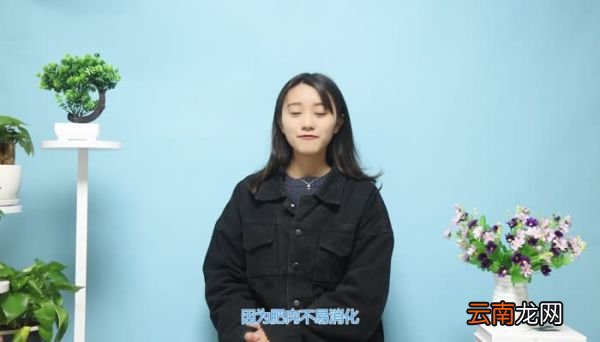 巴西龟吃什么 巴西龟怎么样吃什么