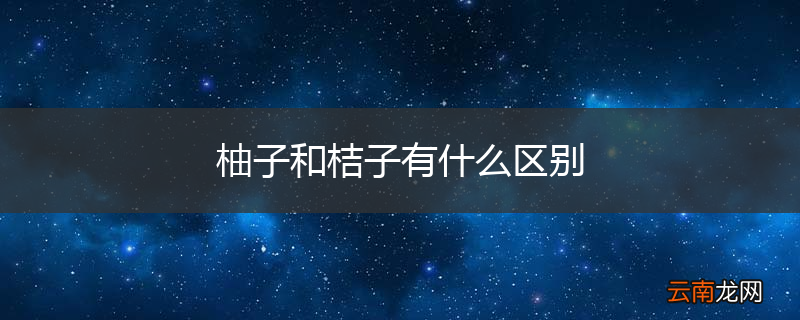 柚子和桔子有什么区别