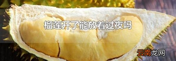 榴莲开了能放着过夜吗