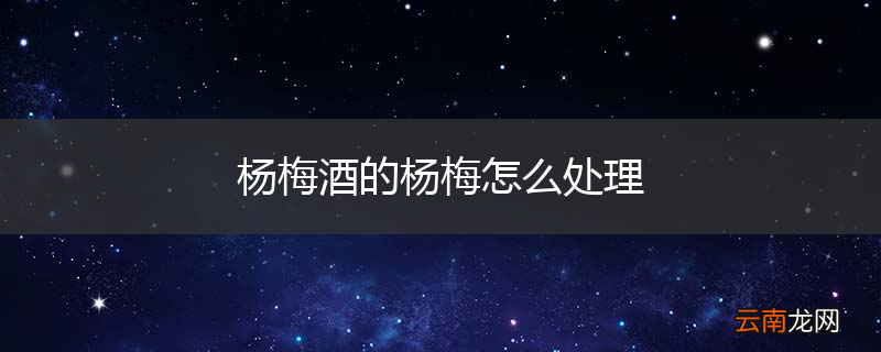 杨梅酒的杨梅怎么处理