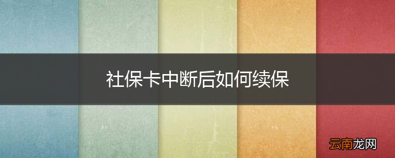 社保卡中断后如何续保
