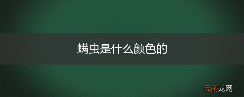 螨虫是什么颜色的