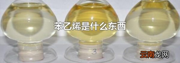 苯乙烯是什么东西