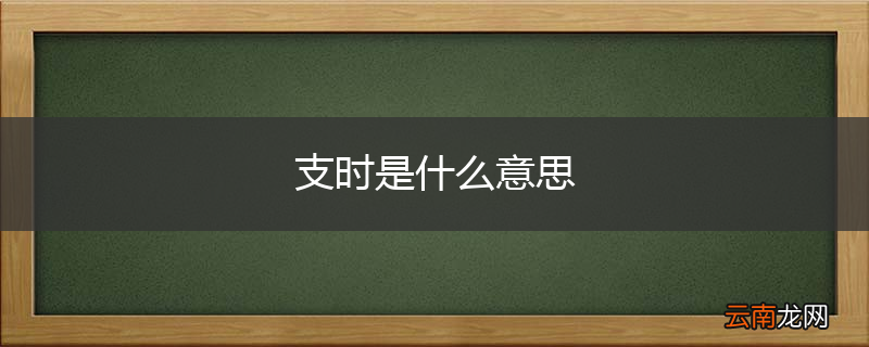 支时是什么意思