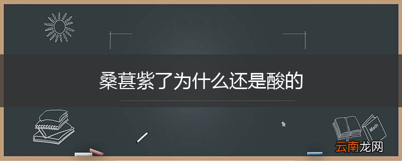 桑葚紫了为什么还是酸的