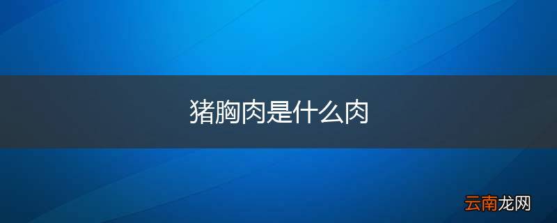 猪胸肉是什么肉