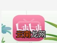 哔哩哔哩APP联系客服图文操作