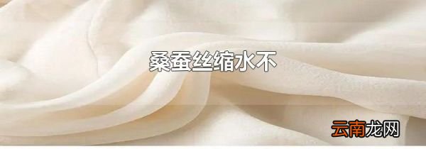 桑蚕丝缩水不