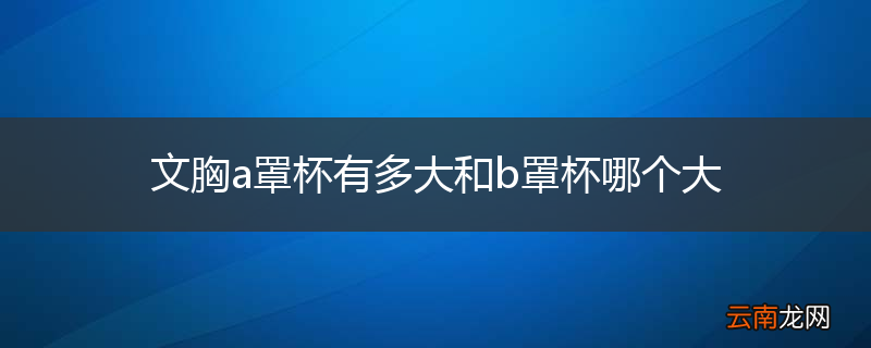 文胸a罩杯有多大和b罩杯哪个大
