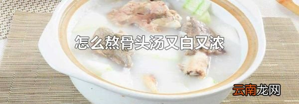 怎么熬骨头汤又白又浓