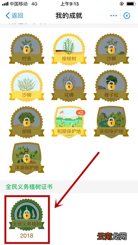 支付宝蚂蚁森林领取国家发植树证书详细操作