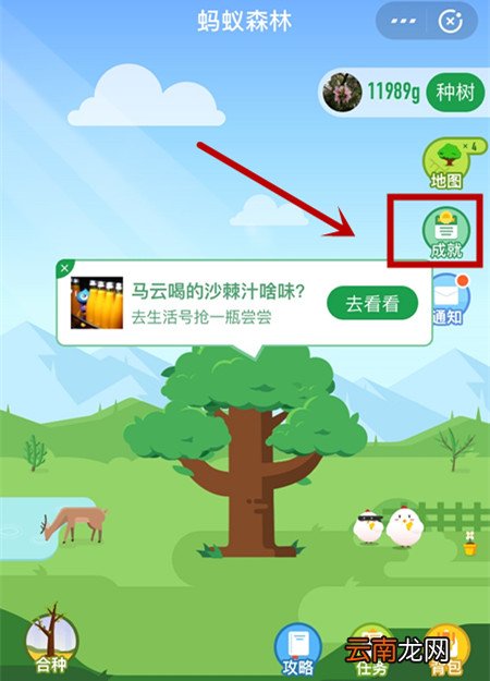 支付宝蚂蚁森林领取国家发植树证书详细操作
