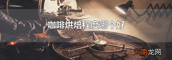 咖啡烘焙程度哪个好