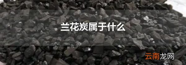 兰花炭属于什么