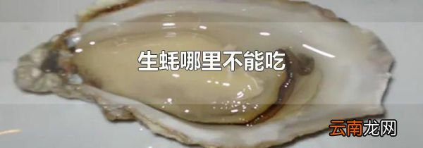 生蚝哪里不能吃
