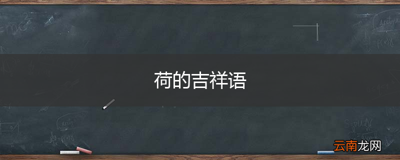 荷的吉祥语