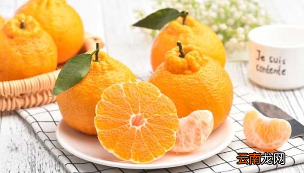 耙耙柑怎么挑甜的 耙耙柑怎么挑选甜的