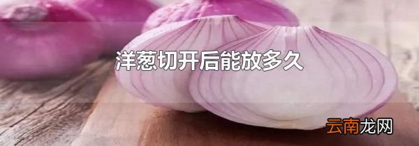 洋葱切开后能放多久