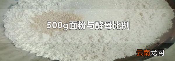 500g面粉与酵母比例