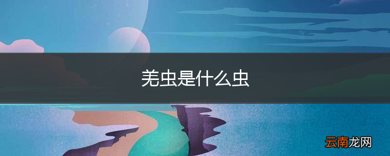 羌虫是什么虫