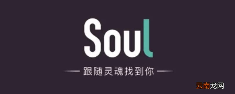 soul被挡访客什么意思