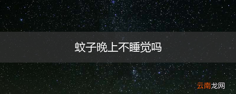 蚊子晚上不睡觉吗
