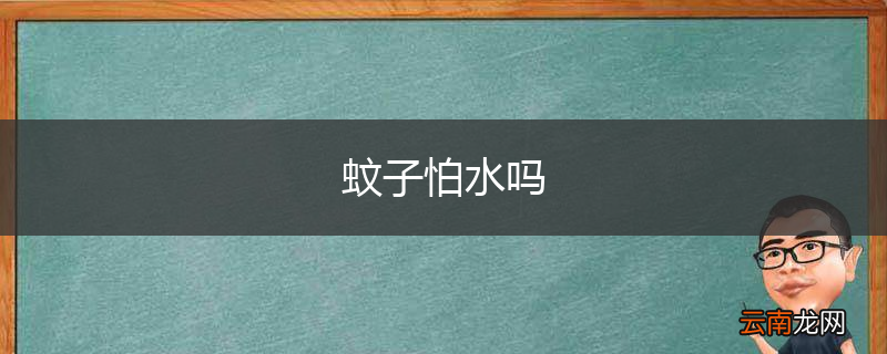 蚊子怕水吗
