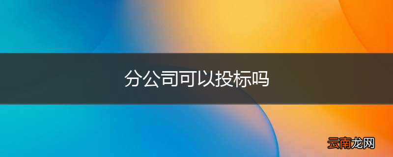 分公司可以投标吗